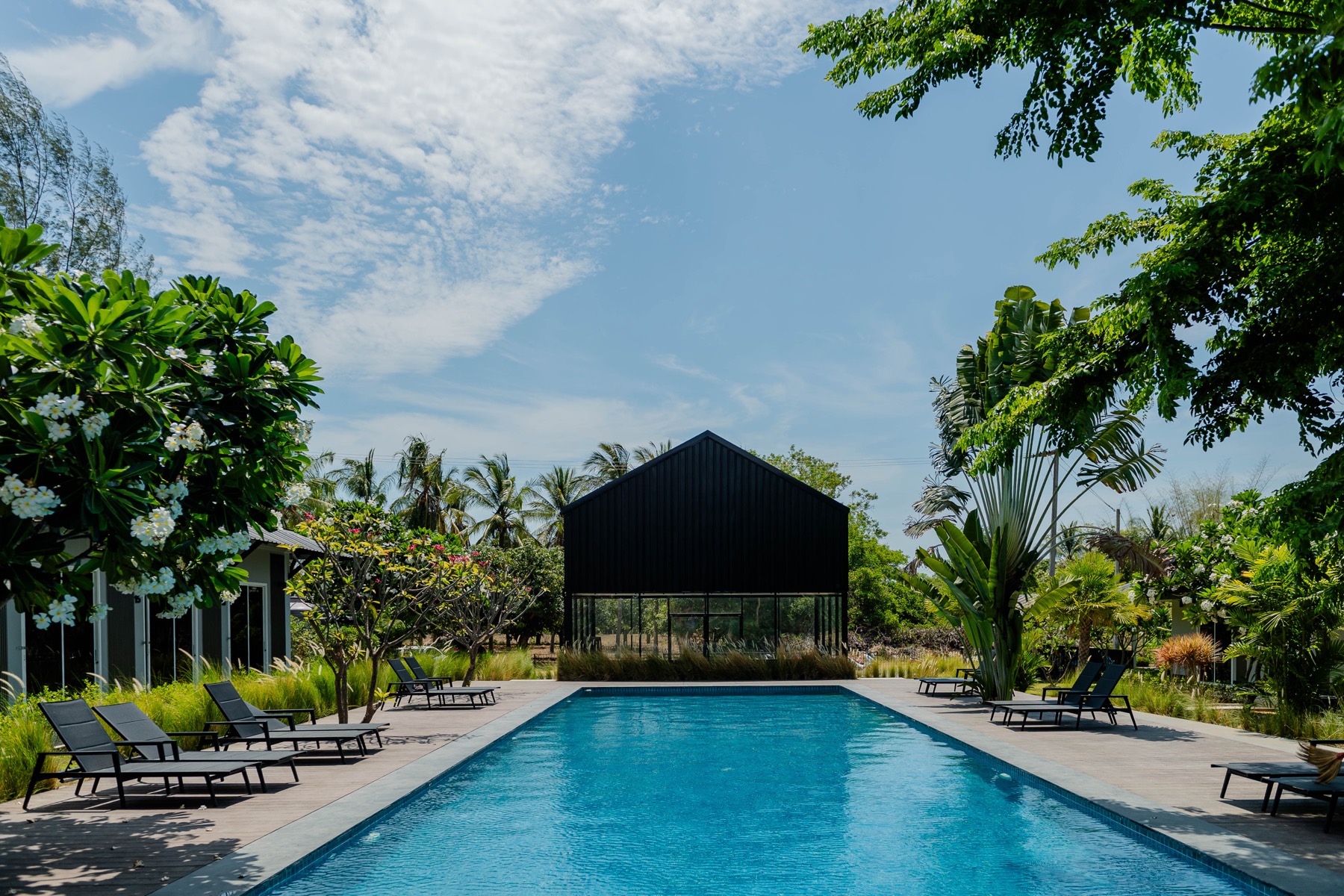 The twenty-metre lap pool, empty in the middle of the day