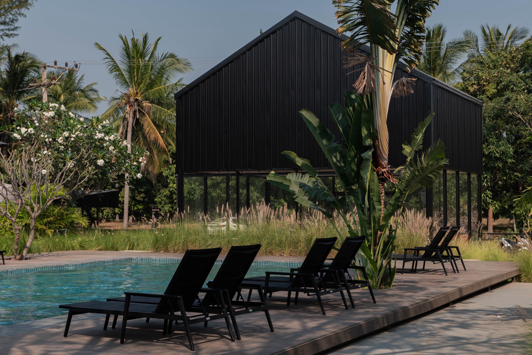 The twenty-metre lap pool, empty in the middle of the day